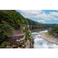 철원 한탄강 주상절리길&노동당사,고석정 꽃밭(당일)