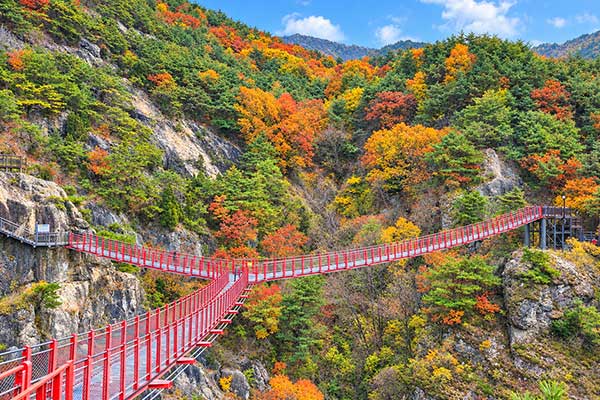 우두산 출렁다리