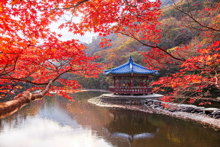 내장산