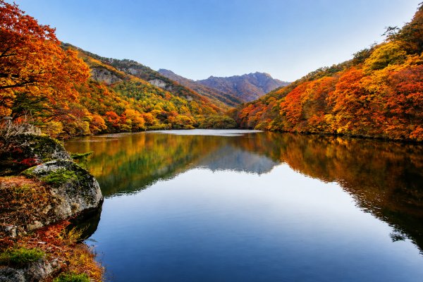 청송 주산지